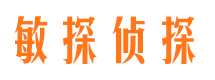 眉县市调查公司